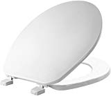 SEAT-TOILET-PLAS-LG-WHT-65901-1.jpg SEAT-TOILET-PLAS-LG-WHT-65901-1.jpg